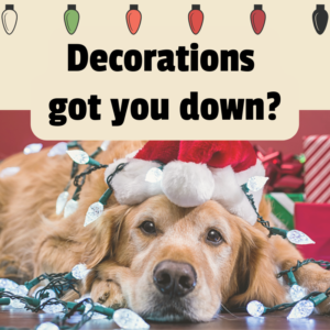 golden doggo with santa hat and Christmas lights. Text overlay: Decorations got you down?